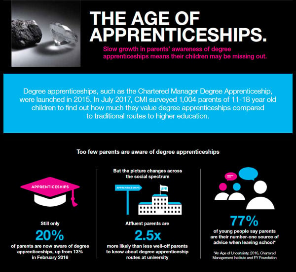 The Age of Apprenticeships Thumbnail