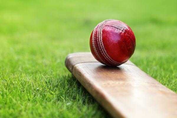 Cricket and leadership