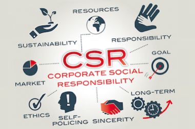 picture shows CSR elements