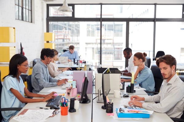 People sitting at their desks at the office