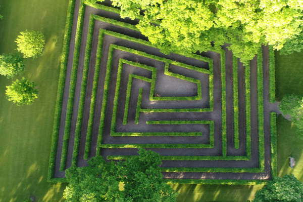 Maze