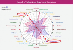 organisational culture dimensions