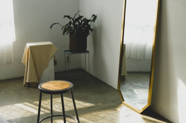 a room with a stool, plant and mirror