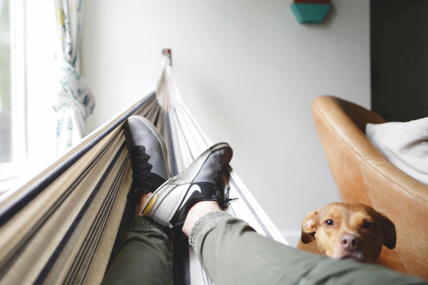 Person lying in a home hammock and his dog around