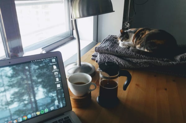 an image of a table which has an open laptop, a mug and a sleeping cat