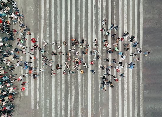 Zebra Crossing