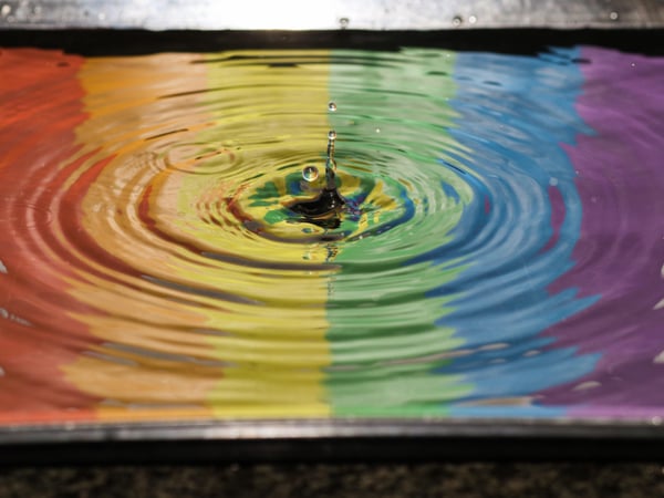 LGBT+ flag reflected in a body of water