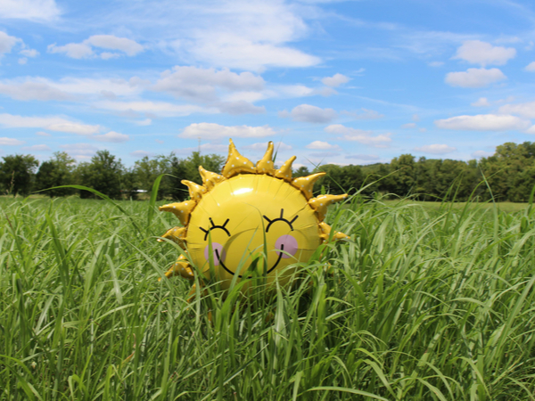 Sun-shaped balloon giving off good enerrgy in a bright field