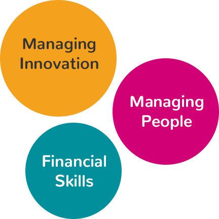 Managing Innovation, Managing People and Financial Skills