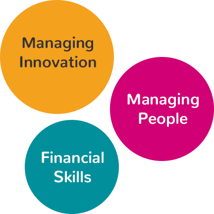 Managing Innovation, Managing People and Financial Skills