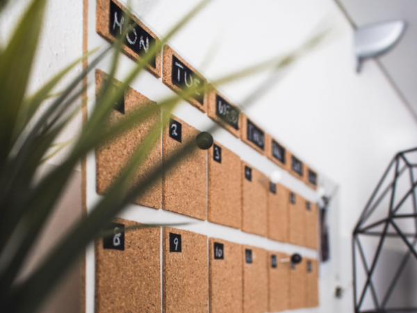 Corkboard calendar with a plant in the foreground