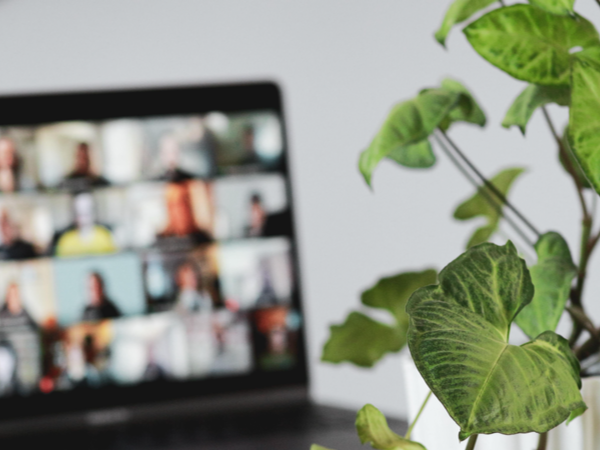 A computer on a video call with a plant beside it