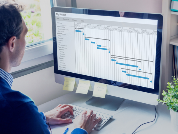 Person looking at a GANTT chart on a computer screen