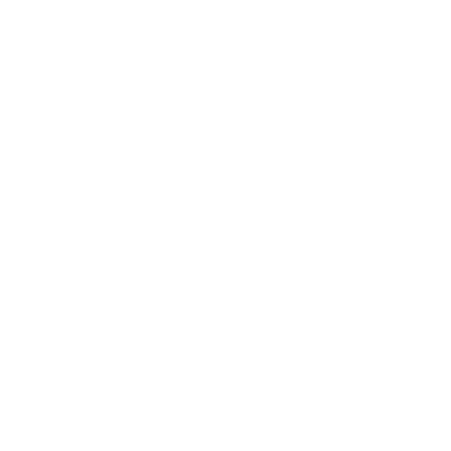 checklist icon