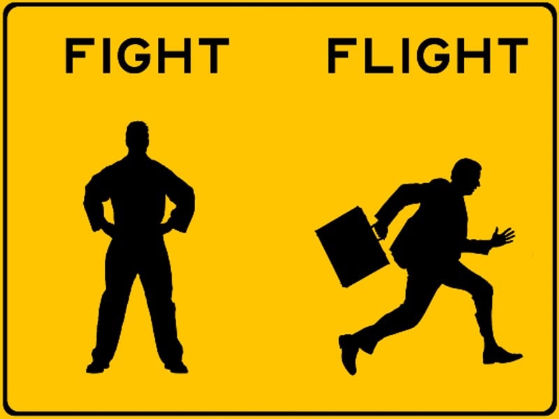 A man standing with his hands on his hips under the word fight, and a man with a briefcase running away under the word flight