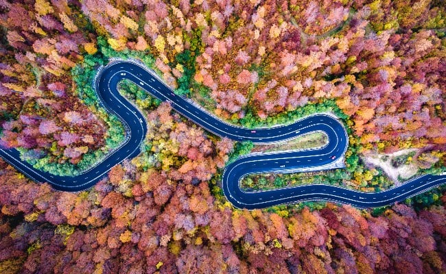 A birds eye view of a winding road through a forest
