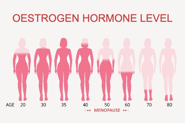 A diagram of how a woman's oestrogen levels decrease with age