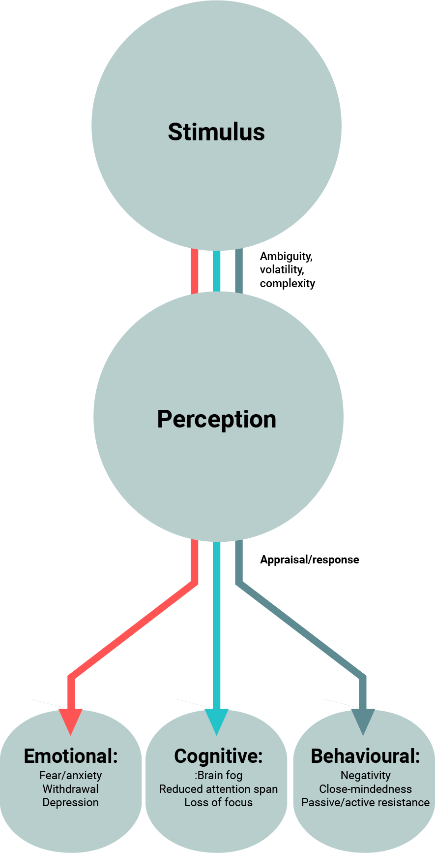 A diagram illustrating the typical human response to uncertainty