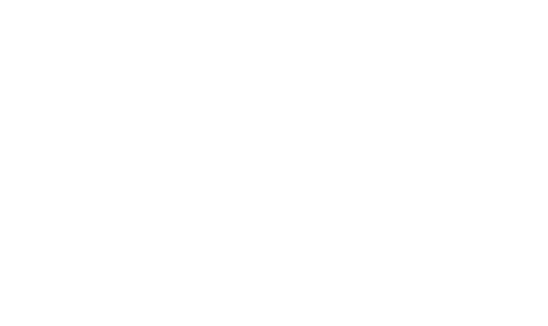 CMI Women logo- Full WHITEOUT