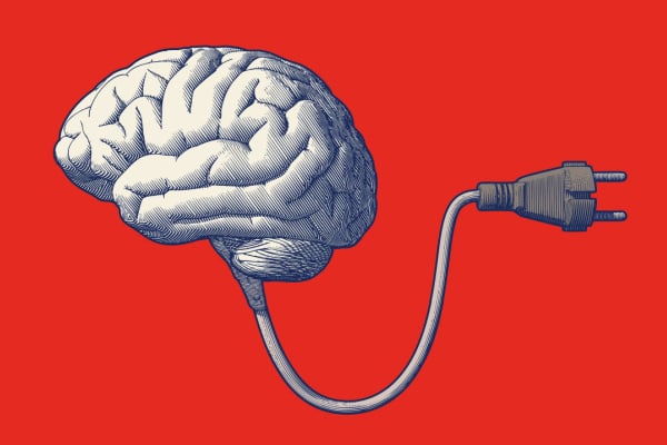 An illustration of a brain with a plug coming out of the brain stem