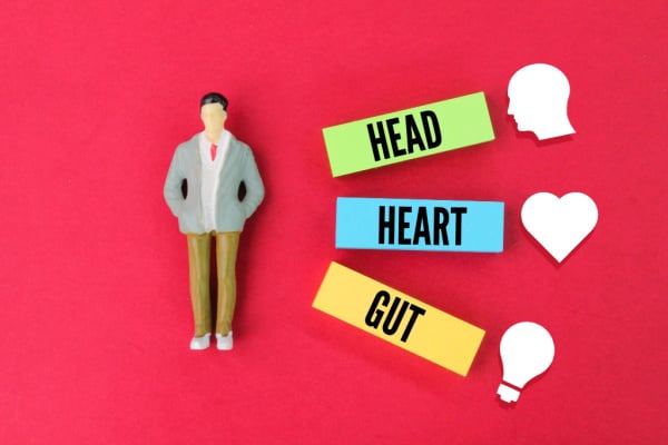 Picture of a person next to labels next to them saying 'head' 'heart' and 'gut'