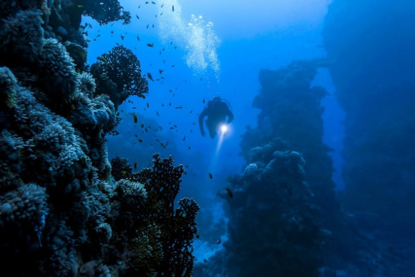 A scuba diver underwater