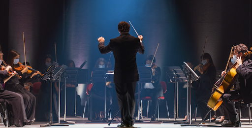 Orchestra with Performers Playing Violins, Cellos, and Trumpets During Music Concert