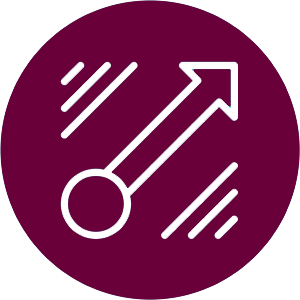 icon representing practical