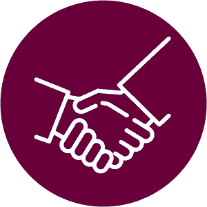 icon representing professional