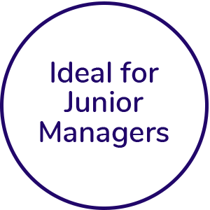 Ideal for junior managers icon