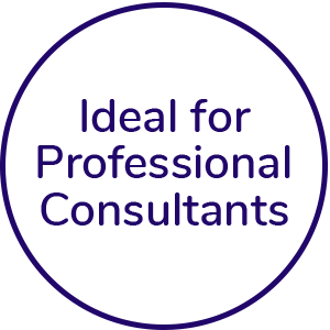 Ideal for professional consultants icon