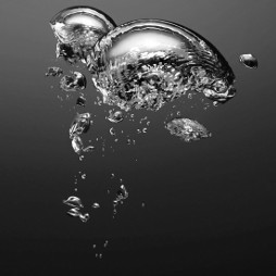Bubbles floating up through water