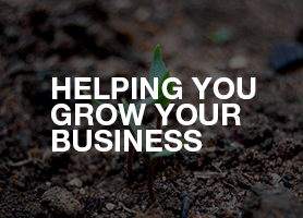 Helping you grow your business