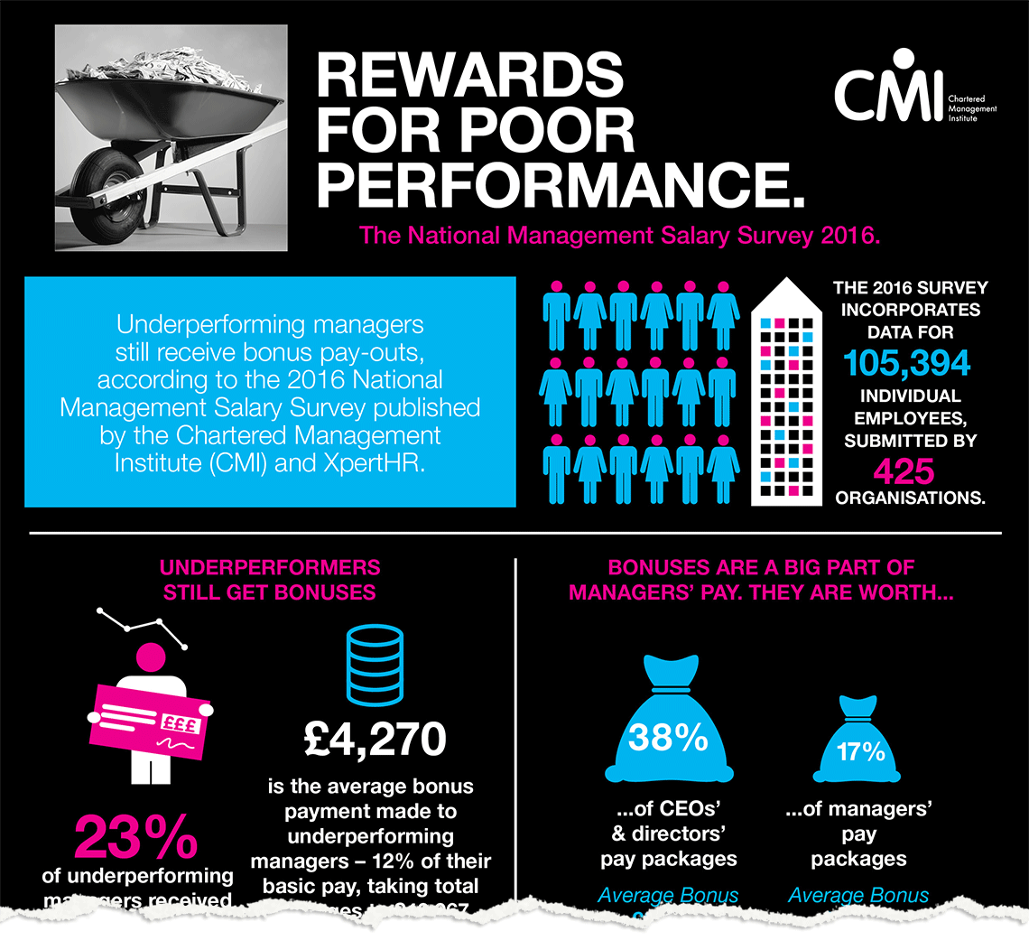 Salary Survey Infographic Preview