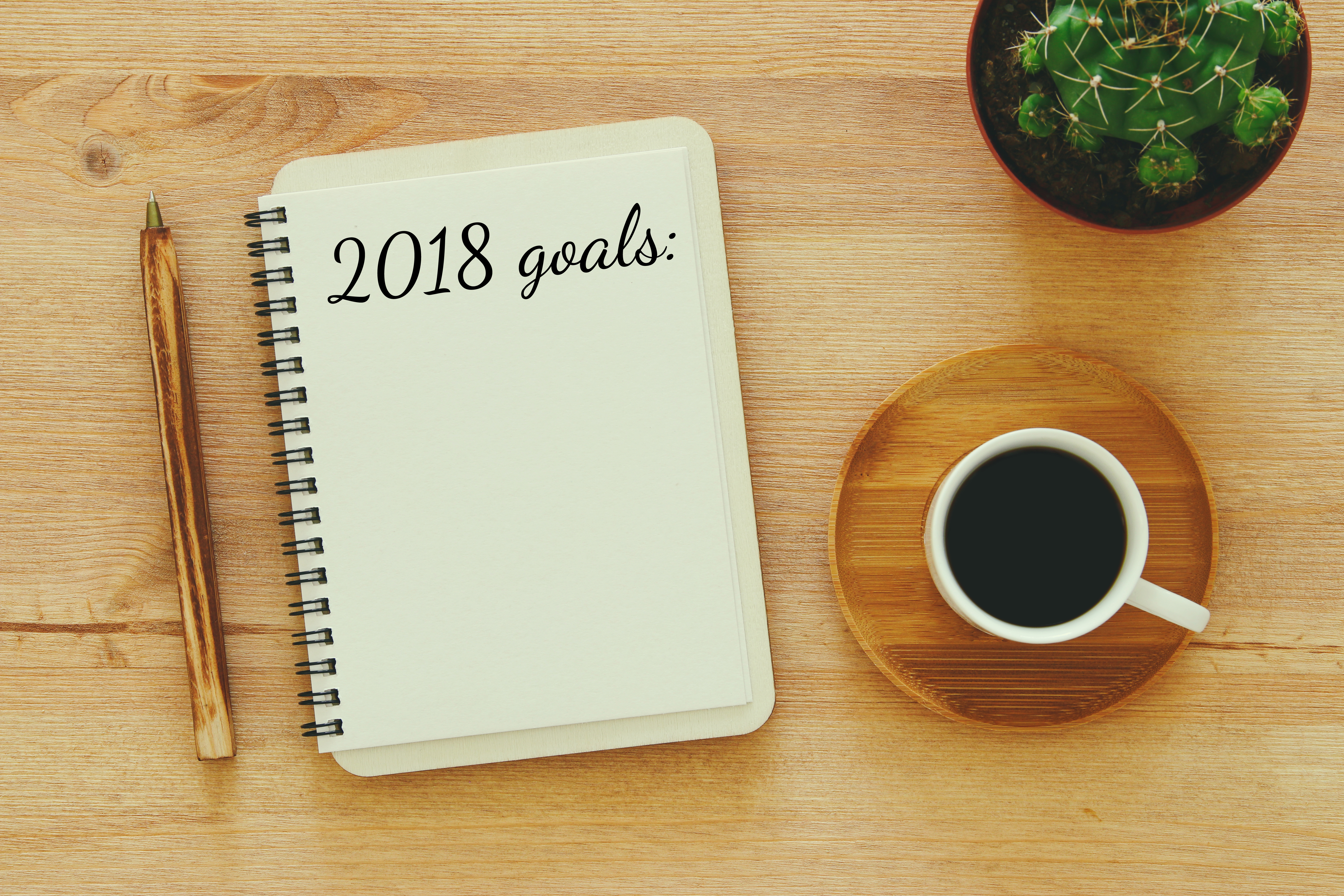 2018 Goals