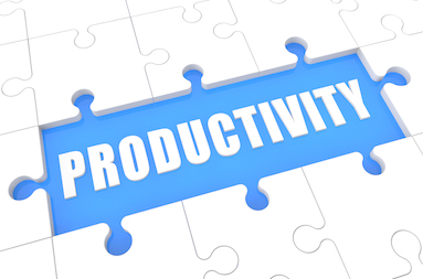 “[ProductivityPuzzle]”