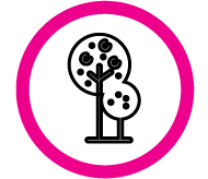 two trees joined together icon